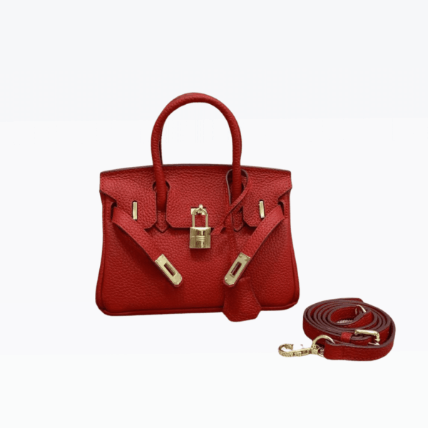 Hermes Birkin Mini Gold Hardware Epsom Red 20Cm