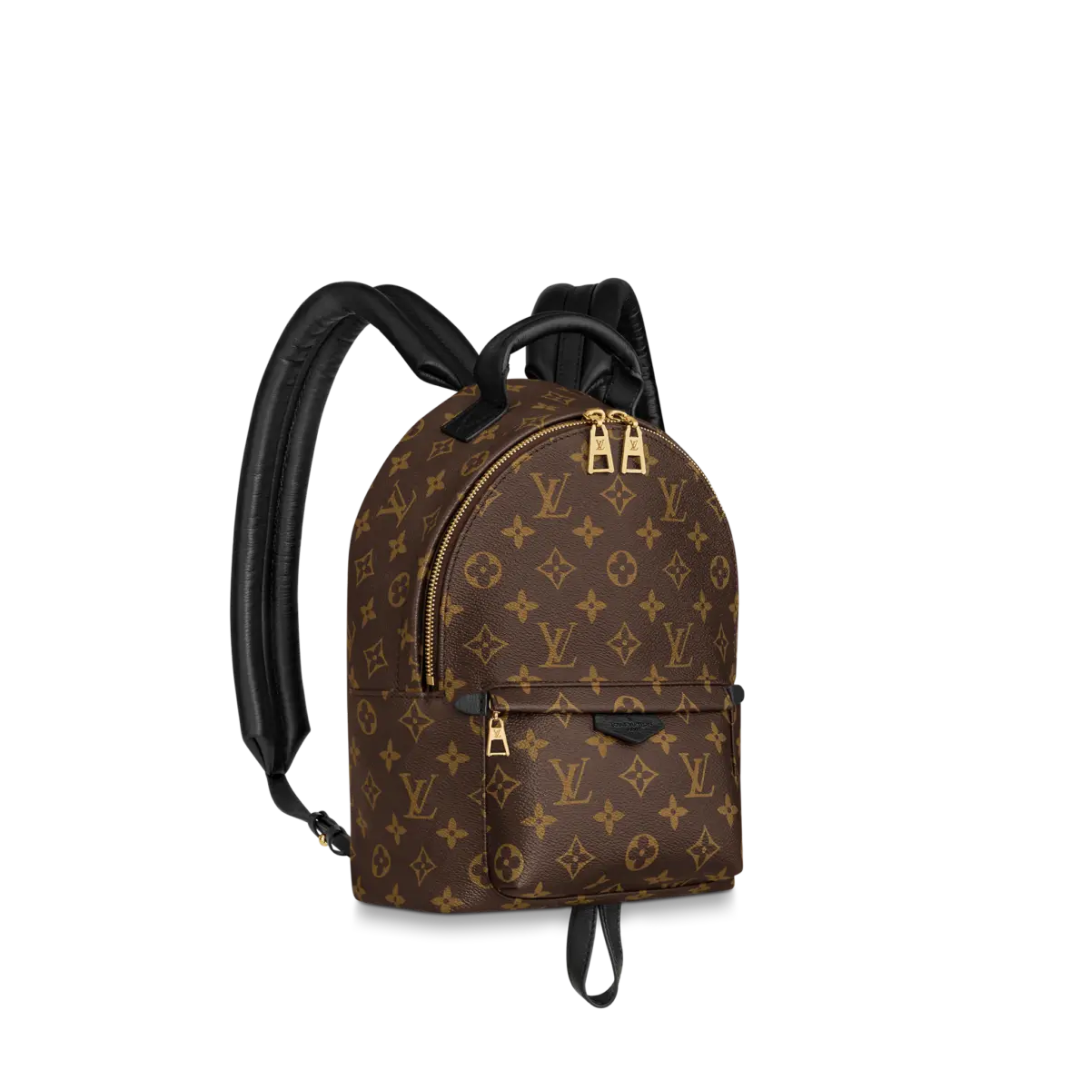 Louis Vuitton Palm Springs Pm 29Cm M44871 - Image 1