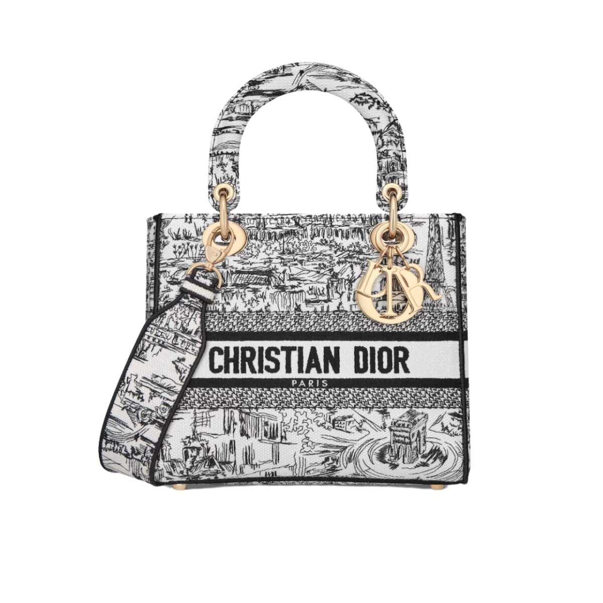 Dior Medium Lady D Lite Bag Paris Allover Embroidery White And Black 24Cm M0565Oegi M933 - Image 1